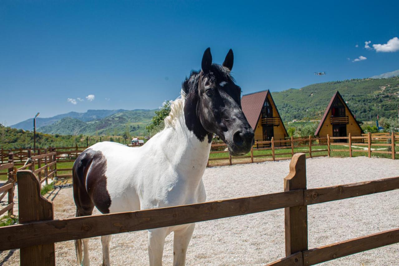 Willa Sancho Farm Albania Memaliaj Zewnętrze zdjęcie