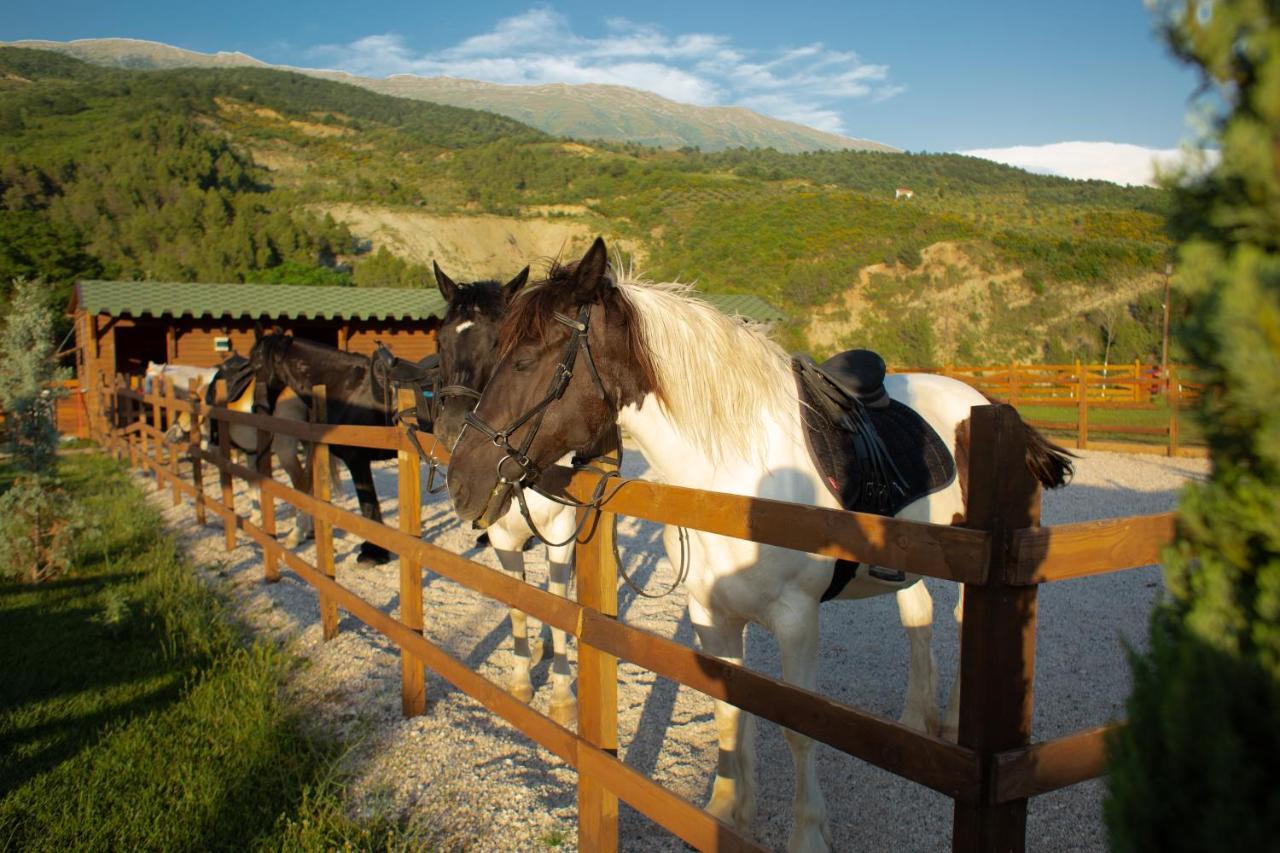 Willa Sancho Farm Albania Memaliaj Zewnętrze zdjęcie