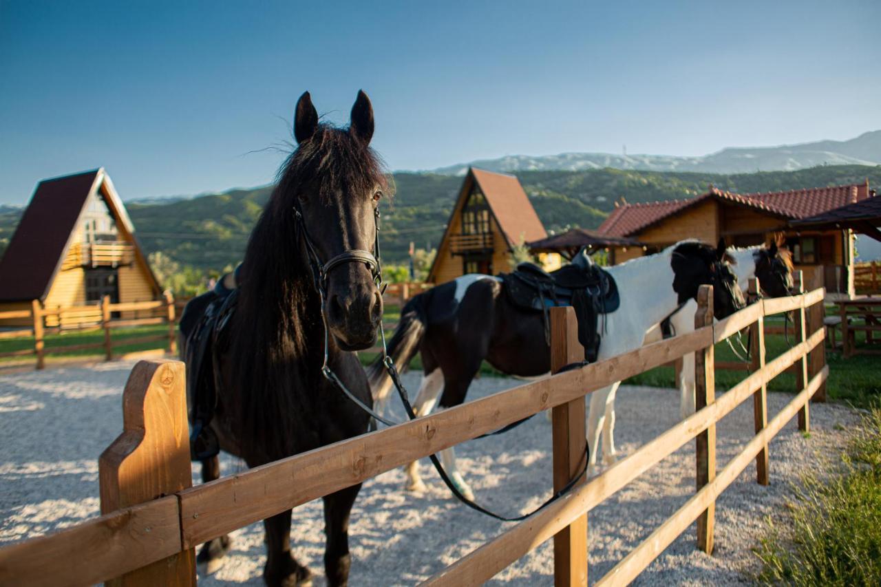 Willa Sancho Farm Albania Memaliaj Zewnętrze zdjęcie