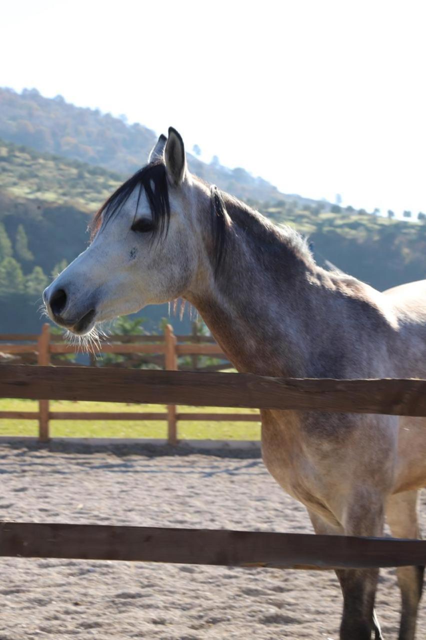 Willa Sancho Farm Albania Memaliaj Zewnętrze zdjęcie