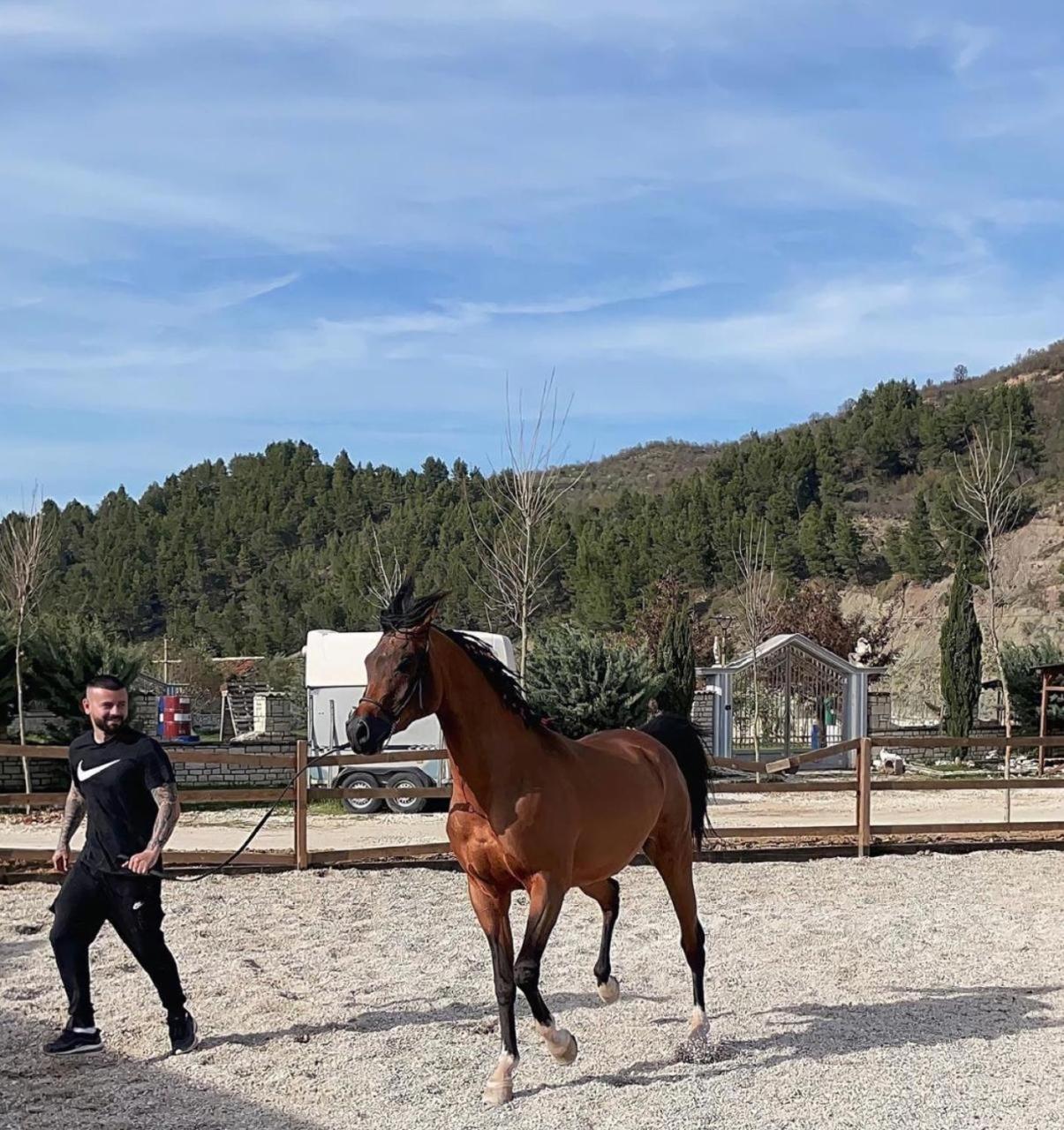 Willa Sancho Farm Albania Memaliaj Zewnętrze zdjęcie