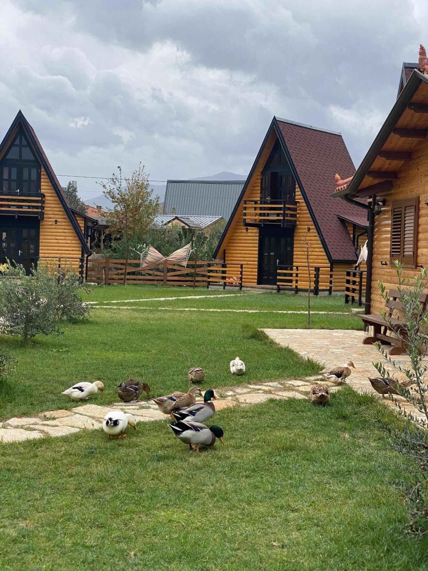 Willa Sancho Farm Albania Memaliaj Zewnętrze zdjęcie