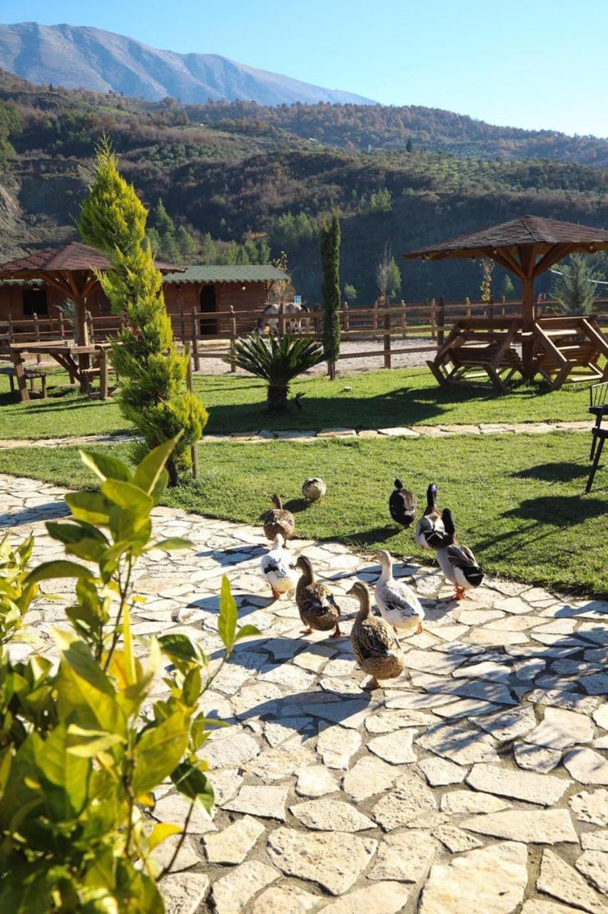 Willa Sancho Farm Albania Memaliaj Zewnętrze zdjęcie